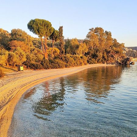 Appartement Pelion Seaside Luxury House à Áfissos Extérieur photo