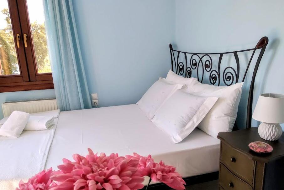 Appartement Pelion Seaside Luxury House à Áfissos Extérieur photo