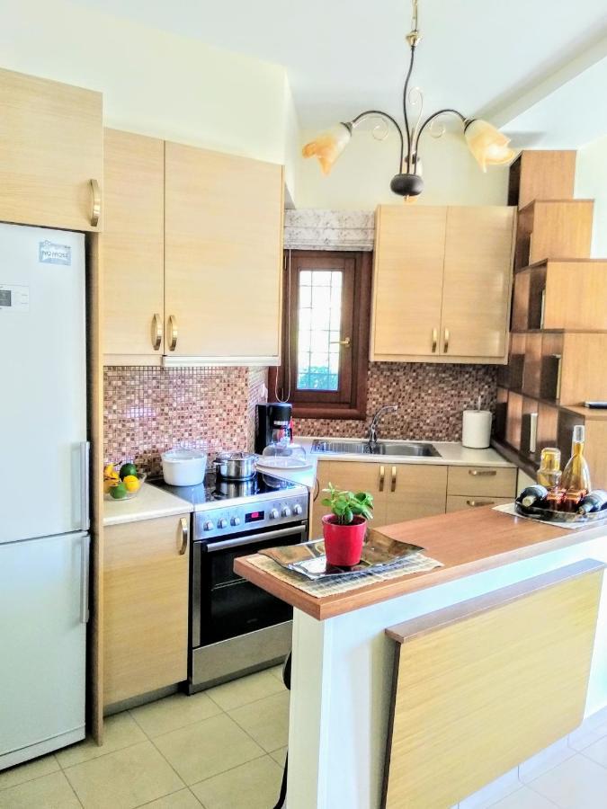 Appartement Pelion Seaside Luxury House à Áfissos Extérieur photo