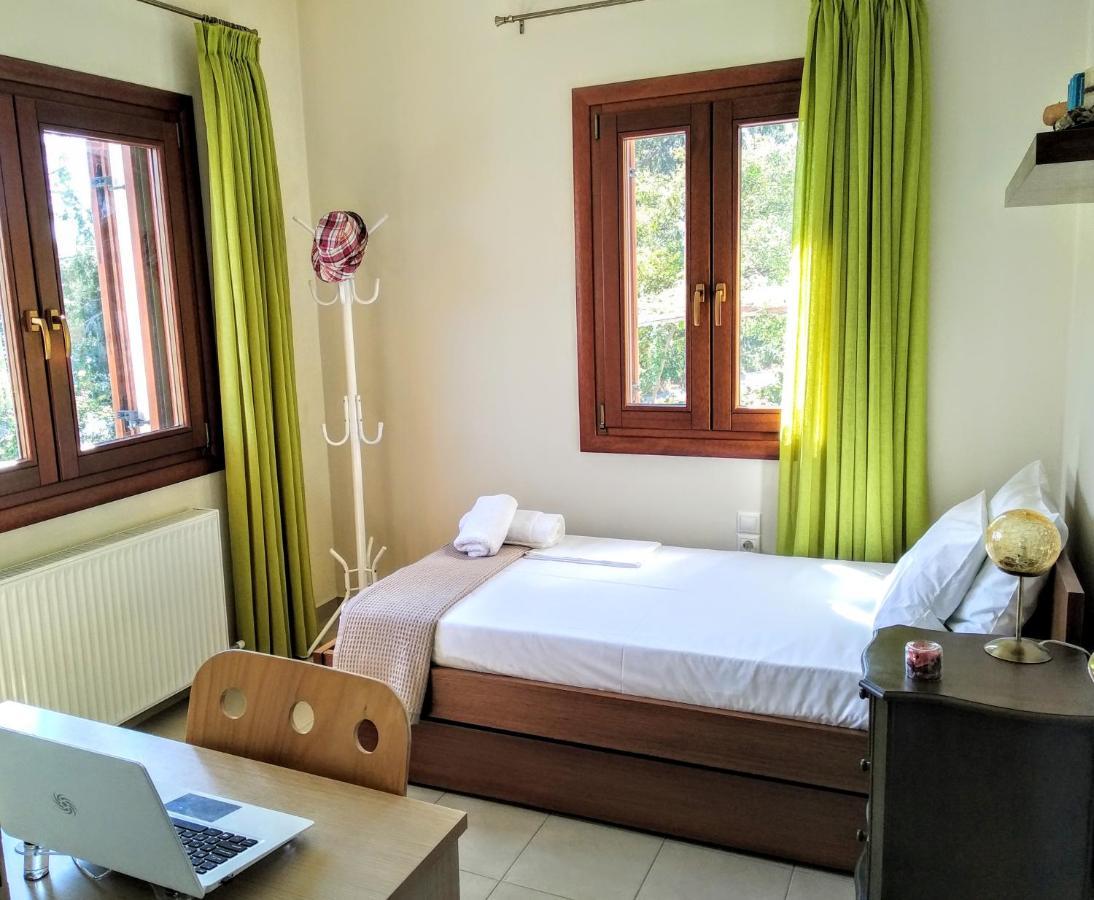 Appartement Pelion Seaside Luxury House à Áfissos Extérieur photo