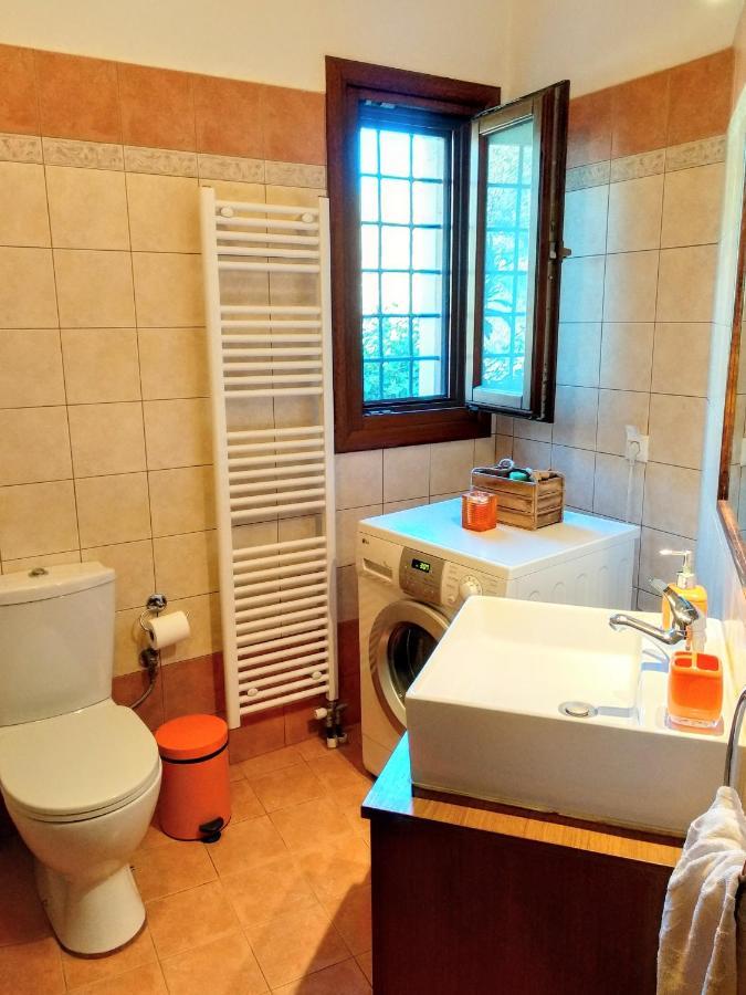 Appartement Pelion Seaside Luxury House à Áfissos Extérieur photo