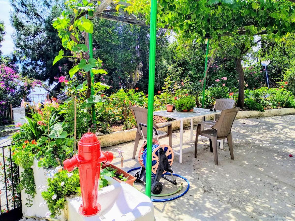 Appartement Pelion Seaside Luxury House à Áfissos Extérieur photo