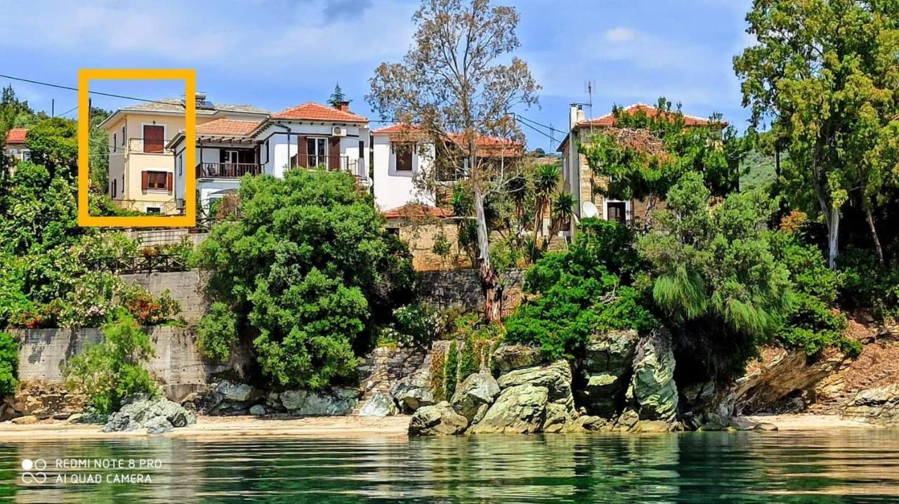 Appartement Pelion Seaside Luxury House à Áfissos Extérieur photo