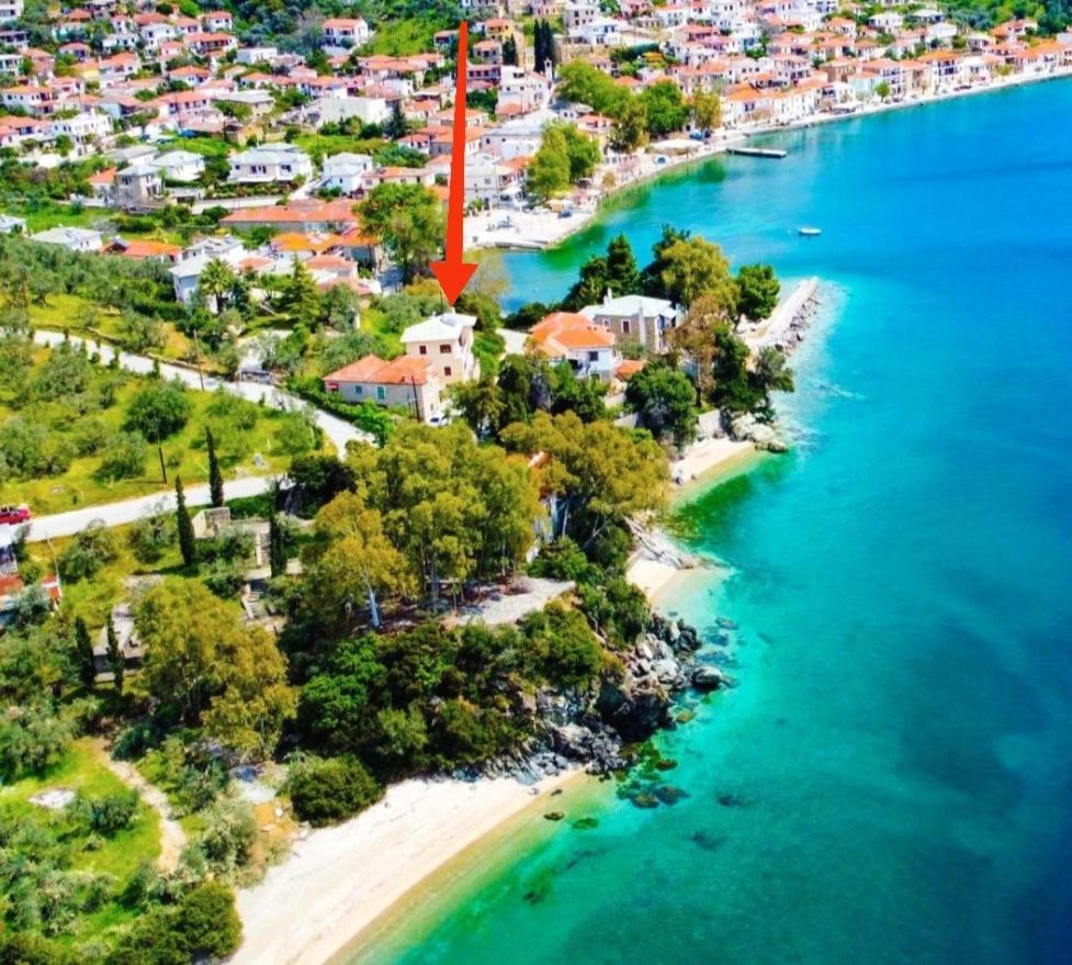 Appartement Pelion Seaside Luxury House à Áfissos Extérieur photo