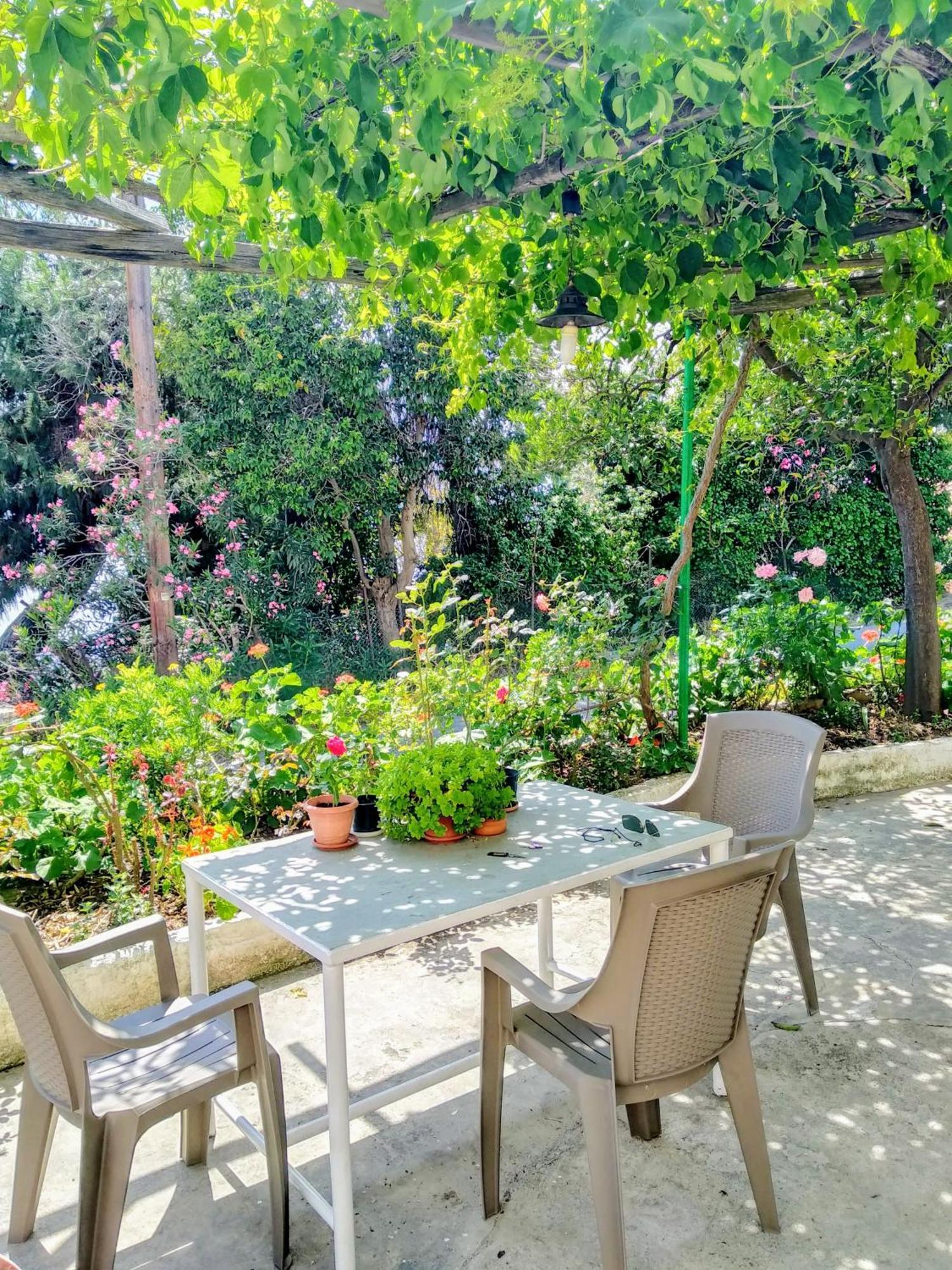 Appartement Pelion Seaside Luxury House à Áfissos Extérieur photo